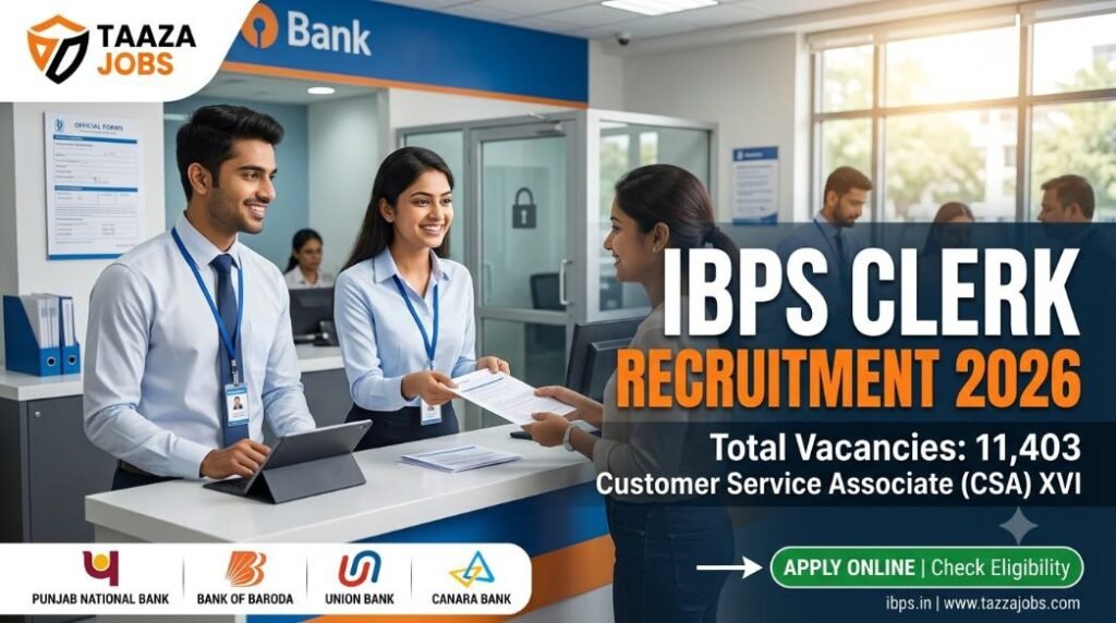 IBPS Clerk Recruitment 2026 Notification for 11,403 Customer Service Associate CSA Vacancies